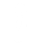 espejos logo sf wh..